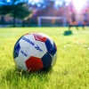 image:imageReebok  Soccer Ball Official Size Composite All SurfaceMulticolor