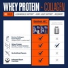 image:imageReebok Whey Protein Powder  Collagen Peptides  25g Protein with 9 Essential Amino Acids  Muscle Recovery Joint amp Gut Support  InformedSport Certified  REEbuild Vanilla Ice Cream Flavor 13 lbVanilla Ice Cream