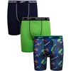 Maritime Blue/Green Flash/Surf the Web Print