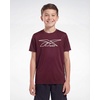 image:imageReebok 3 Pack Boys Dry Fit T Shirts Short Sleeve Athletic Active Sports Tee Shirt for Kids Teens Youth Boy Spring Size 618Solid Black  Solid Burgundy  Solid Ultimate Grey