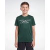 image:imageReebok 3 Pack Boys Dry Fit T Shirts Short Sleeve Athletic Active Sports Tee Shirt for Kids Teens Youth Boy Spring Size 618Solid Black  Solid Hunter Green  Solid Blue Iolite