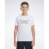 image:imageReebok 3 Pack Boys Dry Fit T Shirts Short Sleeve Athletic Active Sports Tee Shirt for Kids Teens Youth Boy Spring Size 618Solid Black  Solid Quiet Shade  Solid Bright White