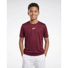 image:imageReebok 4 Pack Boys Dry Fit Short Sleeve T Shirts Athletic Active Running Sports Tee Shirt for Kids Teens Youth Boy Size 618Solid Black  Solid Burgundy  Solid Ultimate Grey  Solid Dawn Blue