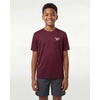 image:imageReebok 4 Pack Boys Dry Fit T Shirts Athletic Short Sleeve Sports Running Tee Shirt for Kids Teens Youth Active Size 618Solid Black  Solid Burgundy  Solid Ultimate Grey  Solid Dawn Blue