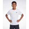 image:imageReebok 4 Pack Boys Dry Fit T Shirts Athletic Short Sleeve Sports Running Tee Shirt for Kids Teens Youth Active Size 618Solid Black  Solid Quiet Shade  Solid Ultimate Grey  Solid Bright White