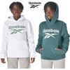 image:imageReebok Boys Fashion Hoodie Sweatshirts 2 Pack Fleece Hoodies for Boys Size 820ChalkOlive