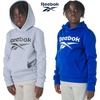 image:imageReebok Boys Fashion Hoodie Sweatshirts 2 Pack Fleece Hoodies for Boys Size 820Lt Grey Heather  Blue