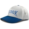 image:imageReebok Classic Hat  Snapback  Adjustable  Baseball Cap  Embroidered  Casual  Lifestyle  Athletic  Sports  RetroGreyVector Blue