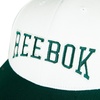 image:imageReebok Classic Hat  Snapback  Adjustable  Baseball Cap  Embroidered  Casual  Lifestyle  Athletic  Sports  RetroWhiteCollegiate Green