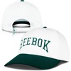 image:imageReebok Classic Hat  Snapback  Adjustable  Baseball Cap  Embroidered  Casual  Lifestyle  Athletic  Sports  RetroWhiteCollegiate Green
