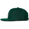 image:imageReebok Identity Vector Hat Adjustable Snapback Closure Flat Brim Heavyweight Acrylic CapIdentity Drop R  Collegiate Green