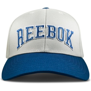 image:imageReebok Classic Hat  Snapback  Adjustable  Baseball Cap  Embroidered  Casual  Lifestyle  Athletic  Sports  RetroGreyVector Blue