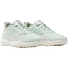Aqua Dust/Vintage Green/Chalk