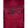 image:imageReebok Hooded Fleece SweatshirtCabernet