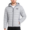 Ice Grey