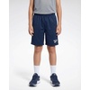 image:image4 Pack Boys Mesh Shorts Athletic Basketball Kids Soccer Pockets Kids Teens  Available In Sizes 618 Youth School Gym Running Baseball Football Sport Workout Drawstring Elastic Quick DrySolid Black  Solid Navy Blazer  Solid Quiet Shade  Solid Ultimate Grey